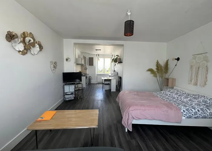 Joli T1 Avec Parking Gratuit